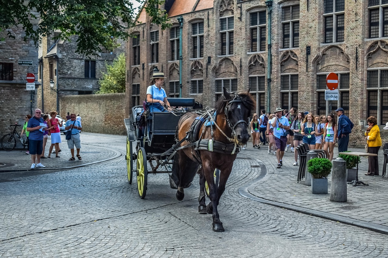 Ontdek wat er in Brugge te doen is.