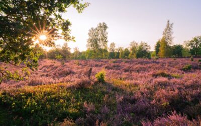 3 mooie wandelgebieden in België